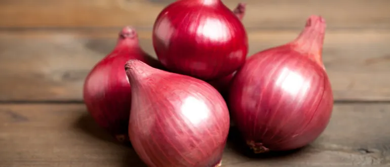 Onion